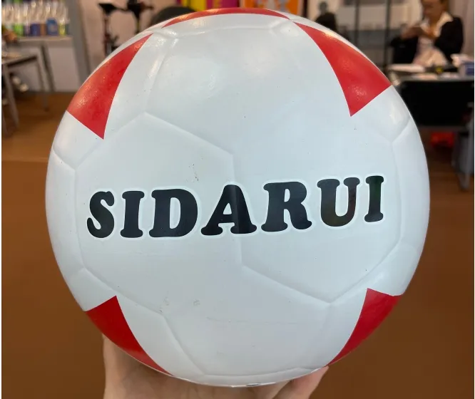 dimension of volleyball ball