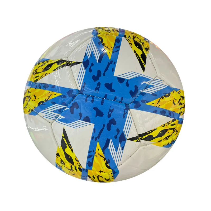 professional volleyball